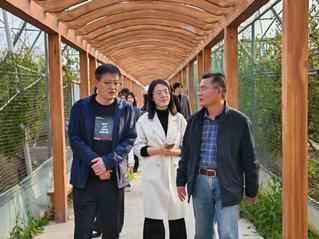 “海韵河秀·品质滨州”文创设计...